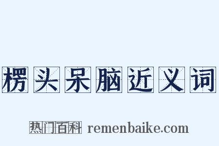 楞头呆脑近义词是什么意思的图片